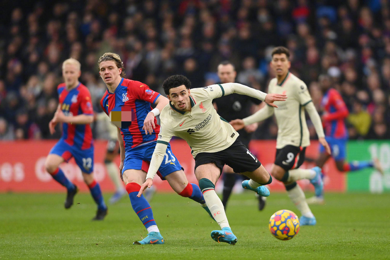 迫使她们不 迫使她们不